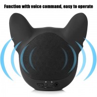 Wireless Bluetooth Speaker