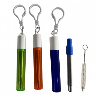 Collapsible Stainless Steel Straw Kit