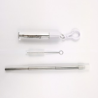 Collapsible Stainless Steel Straw Kit