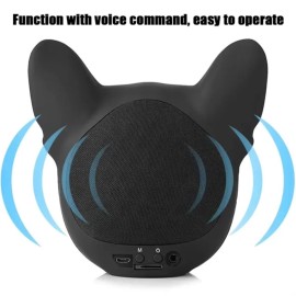 Wireless Bluetooth Speakers