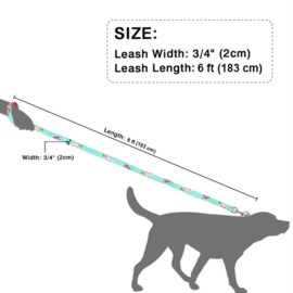 Dye-Sublimation Dog Leash with Adjustable Collar & Carabiner