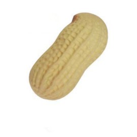 Peanut Shaped Stress Toy