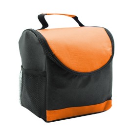 Insulated Lunch Cooler Handbag