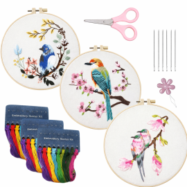 Embroidery Starter Kit
