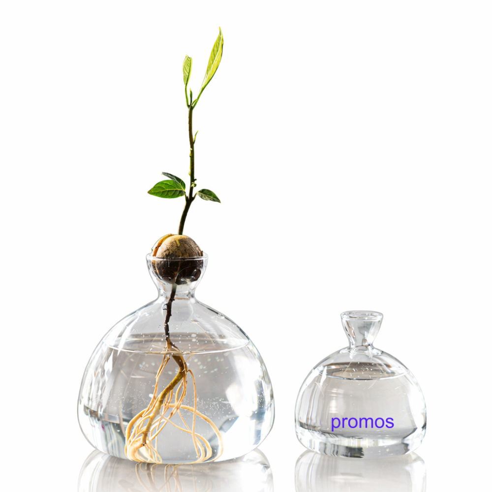 Hydroponic Vase